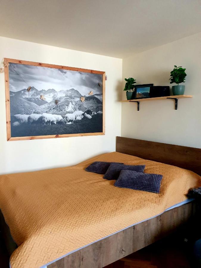 Apartament Izba W Centrum 자코파네 외부 사진